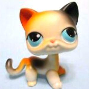 Calico 1st Gen, Early 2000's Littlest Pet Shop